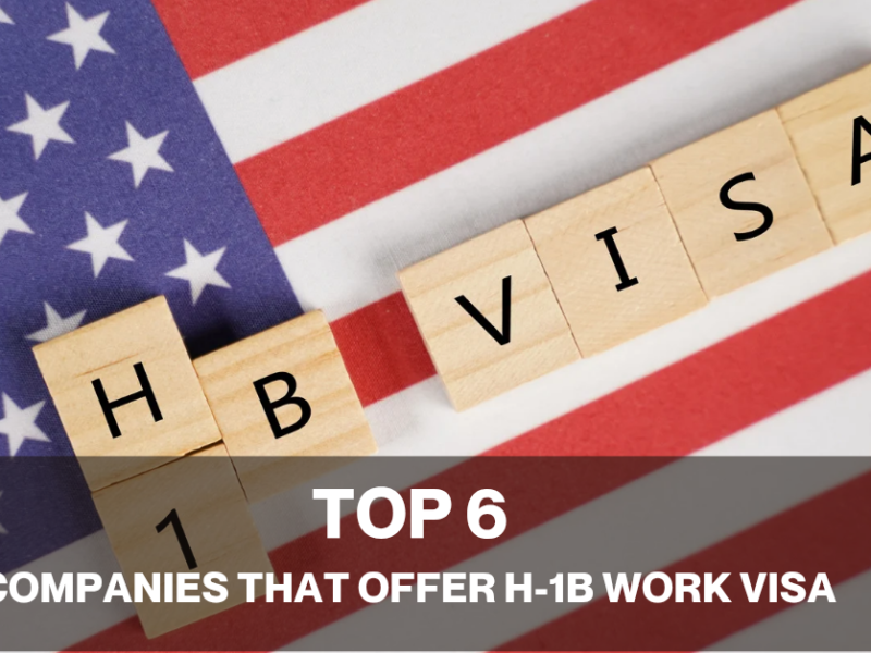 Top 6 US Companies That Offer H-1B Work Visa
